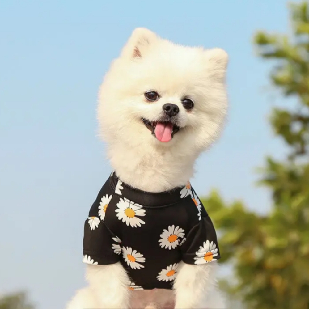 Pet Shirt